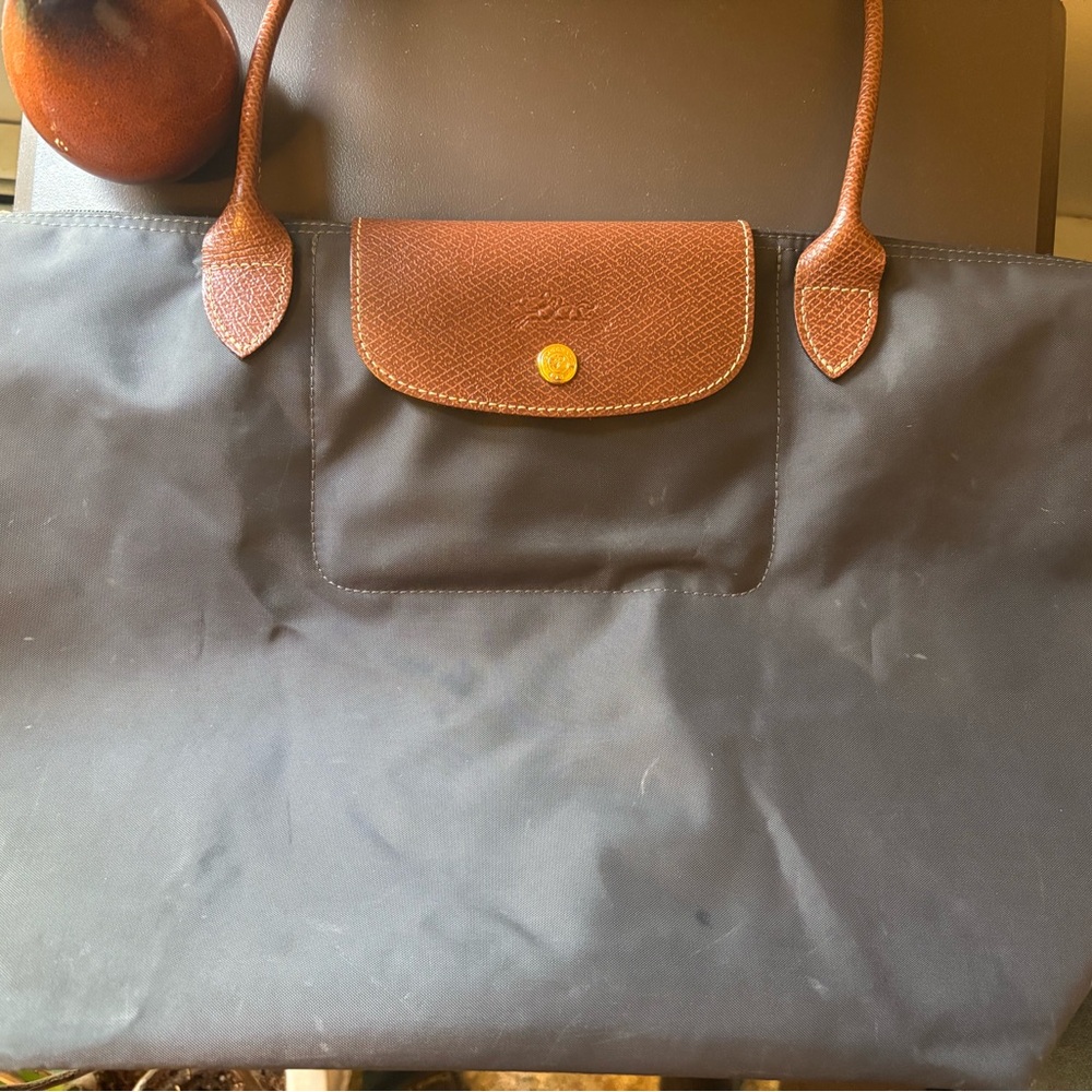 Longchamp Le Pliage Tote Bag